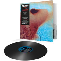 Pink Floyd - Meddle (Vinyl) (Vinyl)